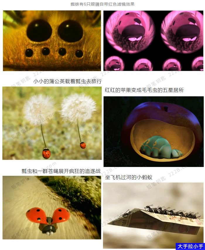 妙趣横生 昆虫总动员 《微观小世界minuscule》1-2季177集昆虫动画记录片MP4超清视频 百度云网盘下载 D10044-第3张-生态地理-贝贝鼠启蒙 妙趣横生 昆虫总动员 《微观小世界minuscule》1-2季177集昆虫动画记录片MP4超清视频 百度云网盘下载 D10044-第3张-生态地理