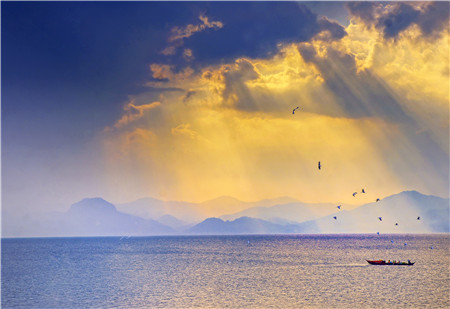 地球之盐超清1080P英语纪录片 带中文字幕 百度网盘下载