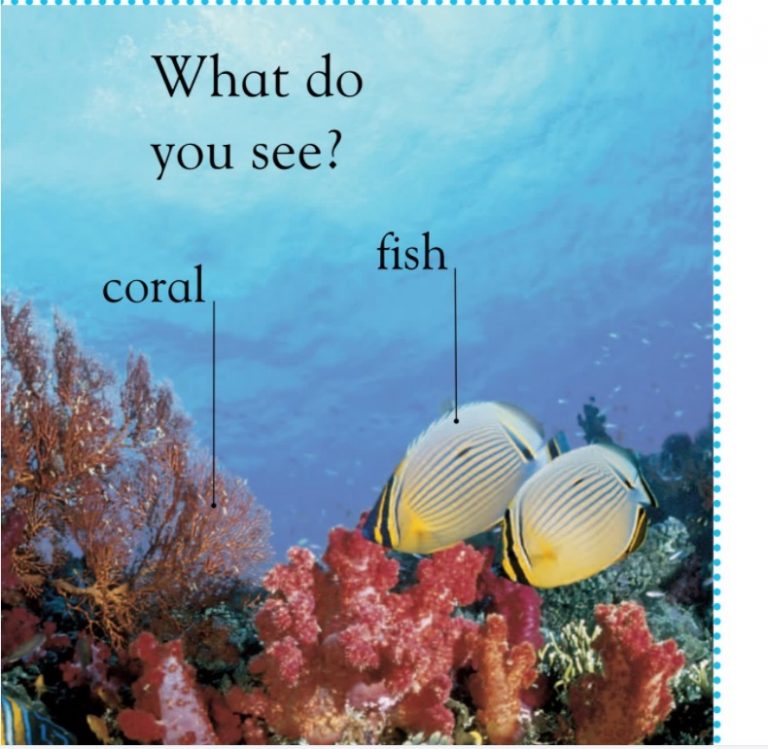 更新！儿童分级阅读系列《DK Readers》5个系列共62册PDF 科学分级阅读 英文科普启蒙的最好读本 百度网盘下载 EP30711-第2张-读英语绘本