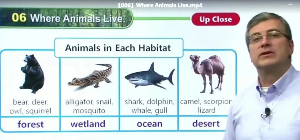 宝藏!Brian Stuart老师《400多节外教课》高频词、科学、社会课程!轻松搞定孩子词汇和阅读! EC29728-第14张-听英语课程-贝贝鼠启蒙 宝藏!Brian Stuart老师《400多节外教课》高频词、科学、社会课程!轻松搞定孩子词汇和阅读! EC29728-第14张-听英语课程