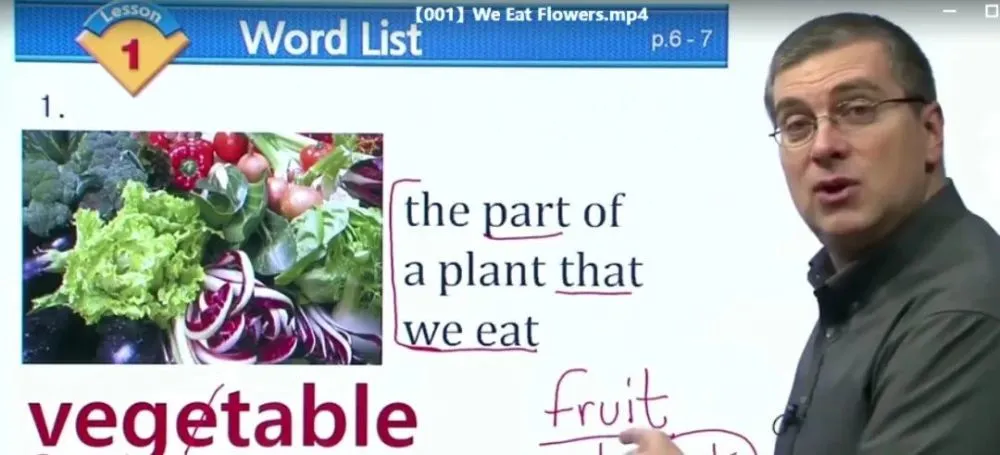 宝藏!Brian Stuart老师《400多节外教课》高频词、科学、社会课程!轻松搞定孩子词汇和阅读! EC29728-第11张-听英语课程-贝贝鼠启蒙 宝藏!Brian Stuart老师《400多节外教课》高频词、科学、社会课程!轻松搞定孩子词汇和阅读! EC29728-第11张-听英语课程