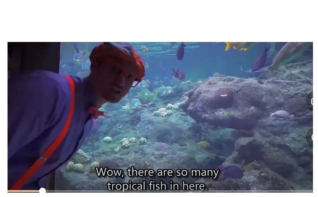 火爆全网播放量超百亿《Blippi》情景英语启蒙 170集 高清视频 内嵌中英字幕 EA30708-第6张-学英语启蒙,英语动画-贝贝鼠启蒙 火爆全网播放量超百亿《Blippi》情景英语启蒙 170集 高清视频 内嵌中英字幕 EA30708-第6张-学英语启蒙,英语动画