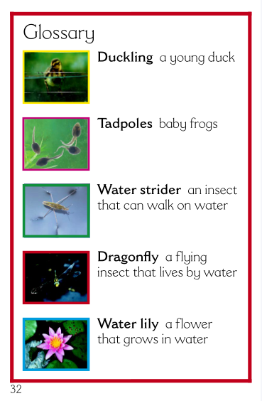 更新！非虚构类科普英语启蒙分级读物《DK Readers》L0-L4 68册 百度网盘下载 EP30711-第6张-读英语绘本