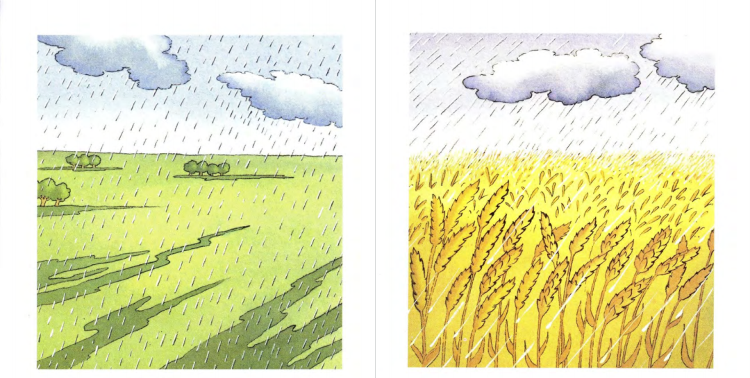 20本英文音韵童谣小书，轻松简单有趣 EP30734-第3张-读英语绘本