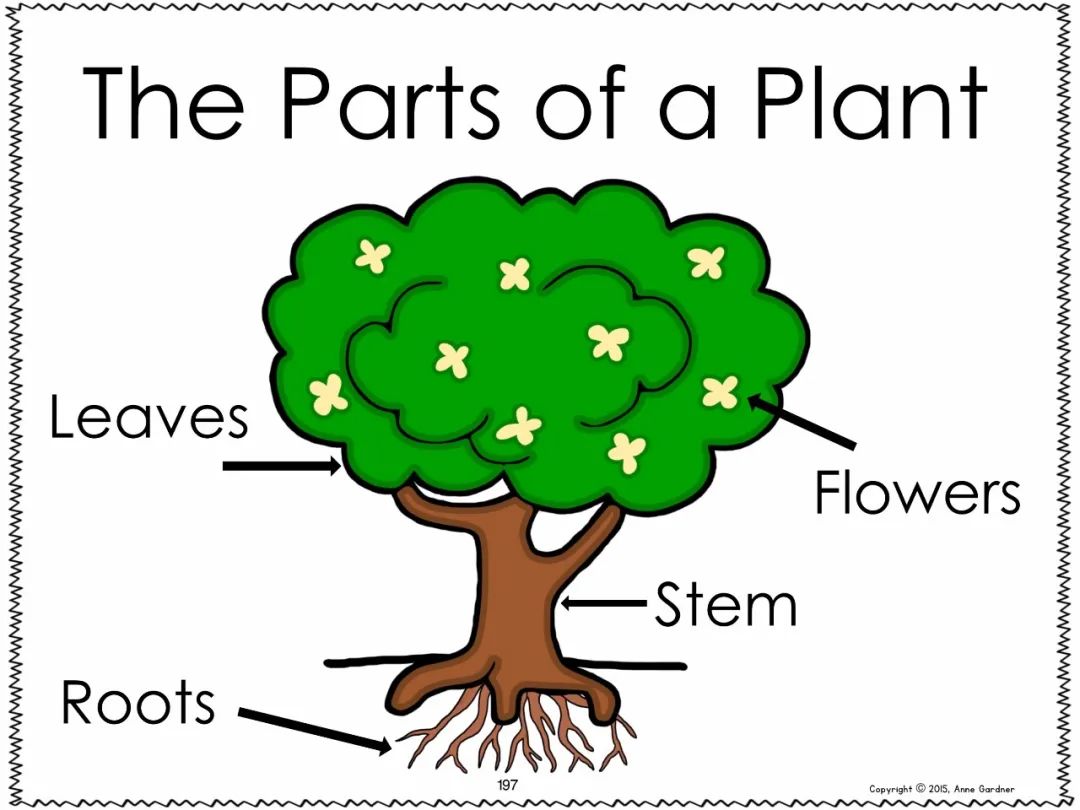 加州指读练习《Very First Alphabet Sentences》火爆全网英语启蒙必读高频词汇 EW30858-第21张-做英语练习-贝贝鼠启蒙 加州指读练习《Very First Alphabet Sentences》火爆全网英语启蒙必读高频词汇 EW30858-第21张-做英语练习