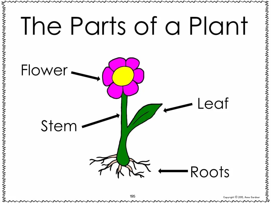 加州指读练习《Very First Alphabet Sentences》火爆全网英语启蒙必读高频词汇 EW30858-第20张-做英语练习-贝贝鼠启蒙 加州指读练习《Very First Alphabet Sentences》火爆全网英语启蒙必读高频词汇 EW30858-第20张-做英语练习