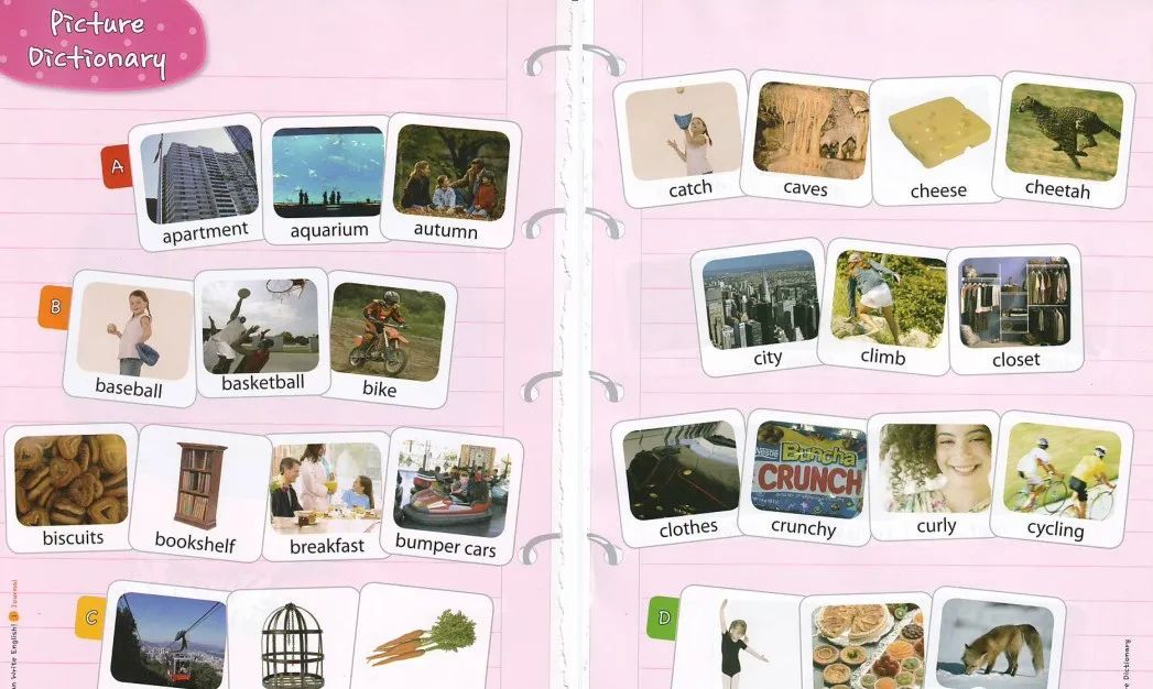 高清小学英文写作练习册《I can write English 1-3册》轻松培养英文写作技能[PDF+音频] 百度云网盘下载 EW31504-第11张-做英语练习