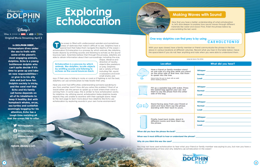 最强动物类纪录片合集《13部迪士尼自然纪录片》高清视频+配套学习手册!DG32145-第15张-生态地理-贝贝鼠启蒙 最强动物类纪录片合集《13部迪士尼自然纪录片》高清视频+配套学习手册!DG32145-第15张-生态地理