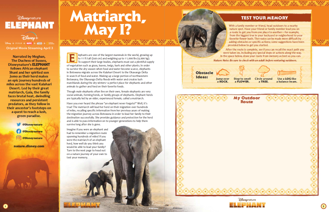 最强动物类纪录片合集《13部迪士尼自然纪录片》高清视频+配套学习手册!DG32145-第13张-生态地理-贝贝鼠启蒙 最强动物类纪录片合集《13部迪士尼自然纪录片》高清视频+配套学习手册!DG32145-第13张-生态地理