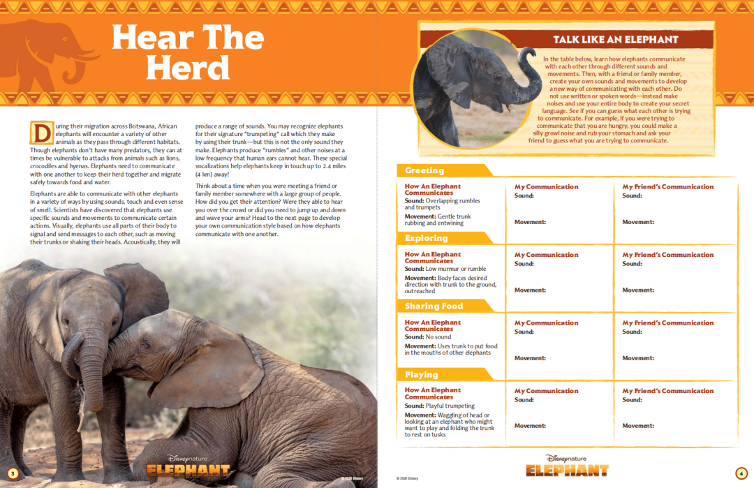 最强动物类纪录片合集《13部迪士尼自然纪录片》高清视频+配套学习手册!DG32145-第14张-生态地理-贝贝鼠启蒙 最强动物类纪录片合集《13部迪士尼自然纪录片》高清视频+配套学习手册!DG32145-第14张-生态地理