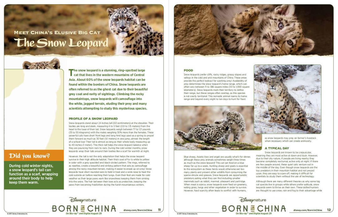 最强动物类纪录片合集《13部迪士尼自然纪录片》高清视频+配套学习手册!DG32145-第18张-生态地理-贝贝鼠启蒙 最强动物类纪录片合集《13部迪士尼自然纪录片》高清视频+配套学习手册!DG32145-第18张-生态地理