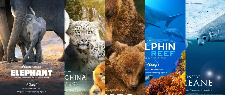 最强动物类纪录片合集《13部迪士尼自然纪录片》高清视频+配套学习手册！DG32145-第1张-生态地理