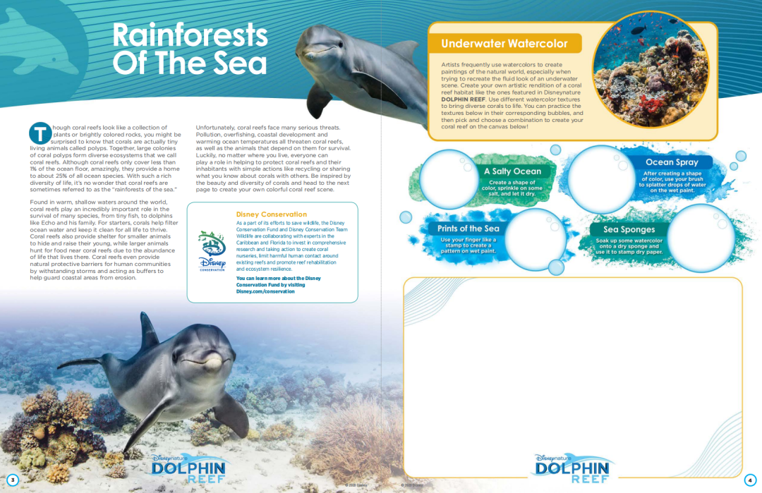 最强动物类纪录片合集《13部迪士尼自然纪录片》高清视频+配套学习手册!DG32145-第16张-生态地理-贝贝鼠启蒙 最强动物类纪录片合集《13部迪士尼自然纪录片》高清视频+配套学习手册!DG32145-第16张-生态地理