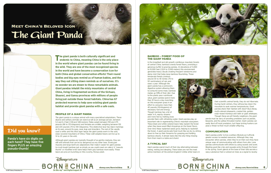 最强动物类纪录片合集《13部迪士尼自然纪录片》高清视频+配套学习手册!DG32145-第17张-生态地理-贝贝鼠启蒙 最强动物类纪录片合集《13部迪士尼自然纪录片》高清视频+配套学习手册!DG32145-第17张-生态地理