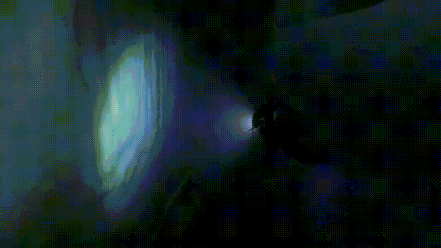 BBC有史以来最棒的野生动物纪录片《七个世界，一个星球》seven worlds one planet DG32147-第6张-生态地理