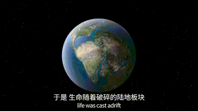 BBC有史以来最棒的野生动物纪录片《七个世界，一个星球》seven worlds one planet DG32147-第2张-生态地理