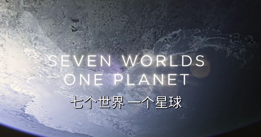 BBC有史以来最棒的野生动物纪录片《七个世界，一个星球》seven worlds one planet DG32147-第3张-生态地理