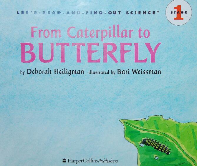 《From Caterpillar to Butterfly》科普类英语绘本pdf资源免费下载 《From Caterpillar to Butterfly》科普类英语绘本pdf资源免费下载