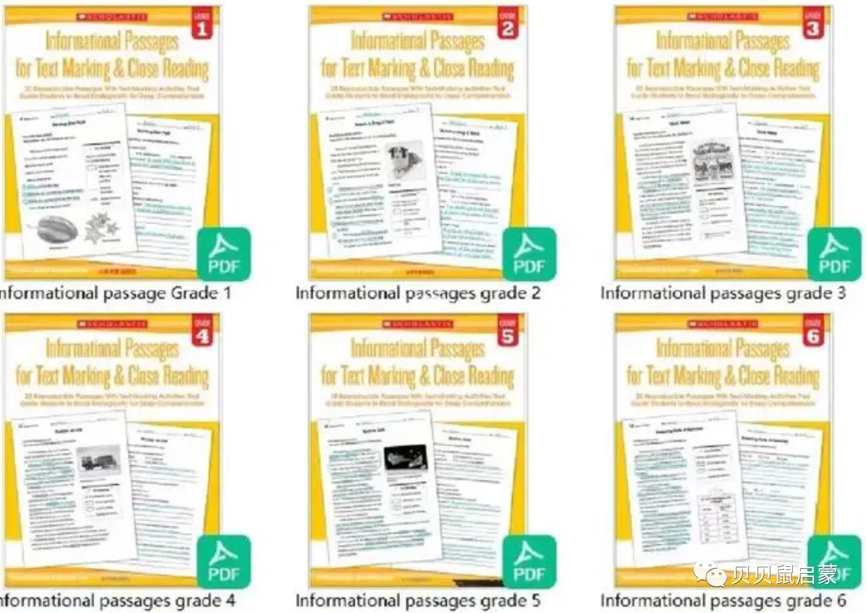 《Informational Passages》全六册英文阅读划重点练习册PDF 百度云网盘下载 EW37142