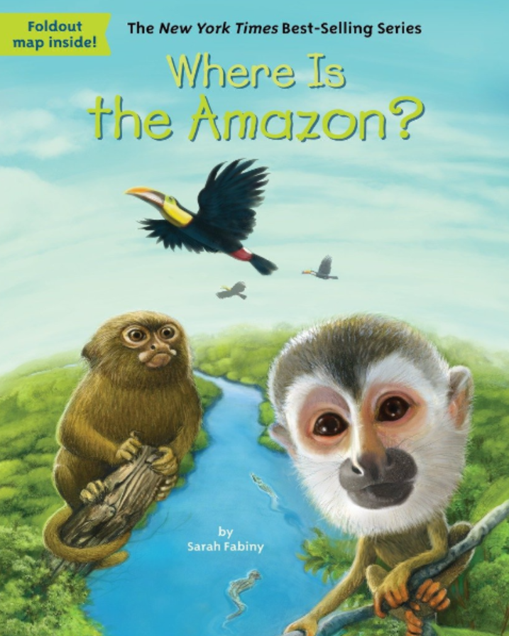 经典章节书《Where is》 系列丛书 16本，含金字塔、长城、大峡谷等科普 EB37333