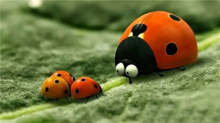 昆虫小世界 1080P超清电影 无对白 百度网盘下载