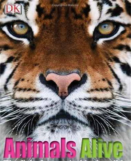 《活着的动物》英文绘本百度云下载