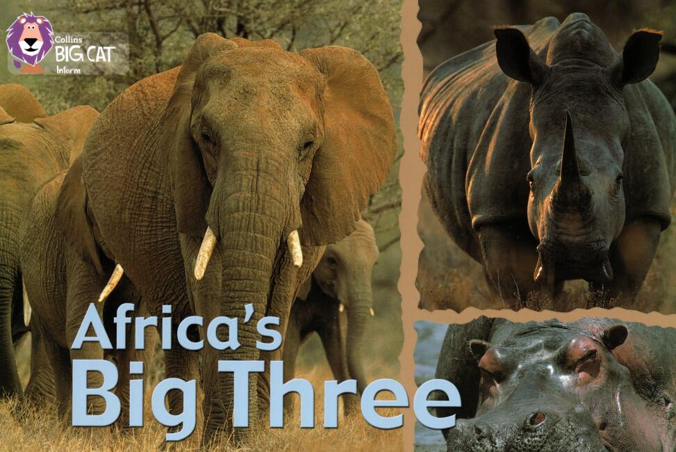 《Africa’s Big Three》英语绘本pdf资源免费下载