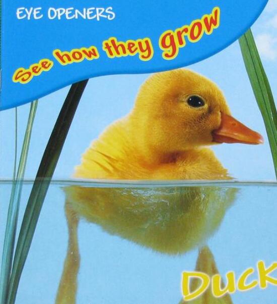 See How They Grow系列英文绘本百度网盘下载