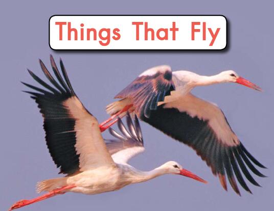 《things That Fly那些会飞的动物》海尼曼英语绘本pdf资源免费下载 《things That Fly那些会飞的动物》海尼曼英语绘本pdf资源免费下载