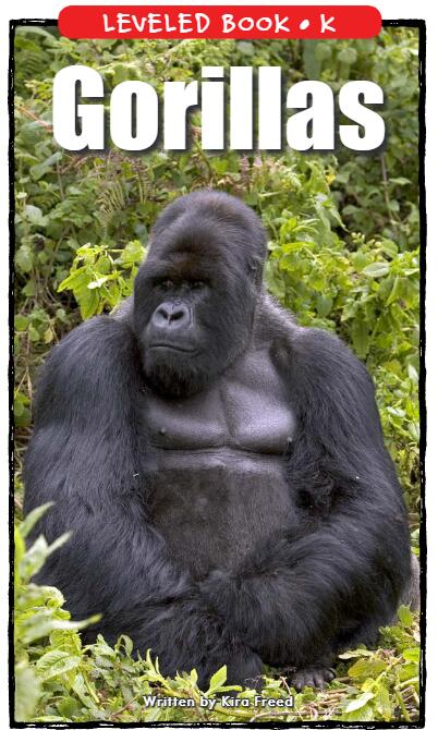 《Gorillas》RAZ分级英语绘本pdf资源免费下载